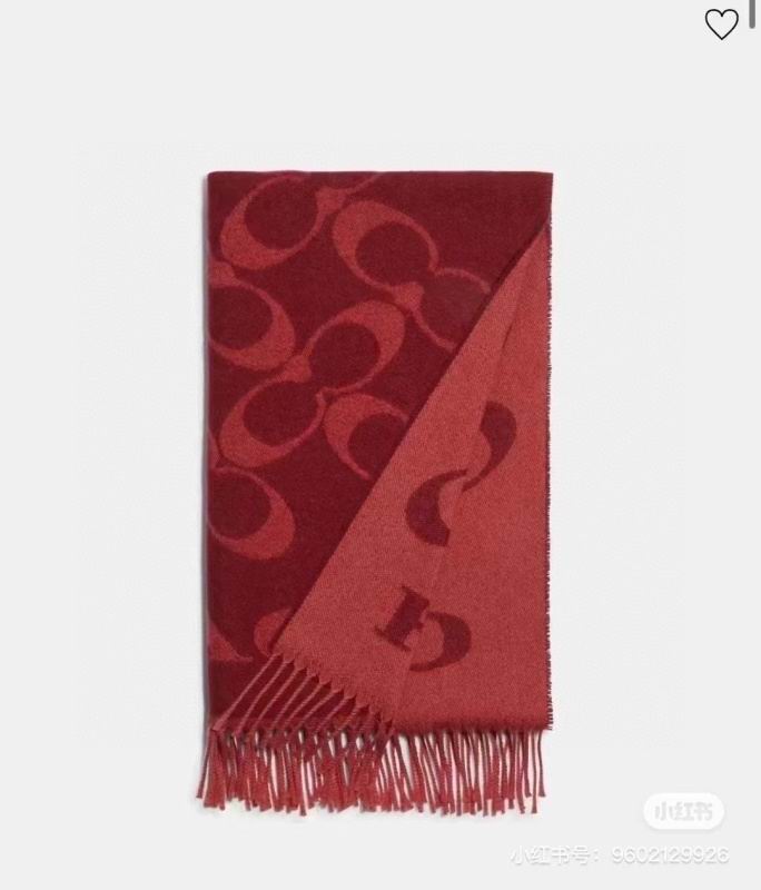 Coach scarf hm (5)