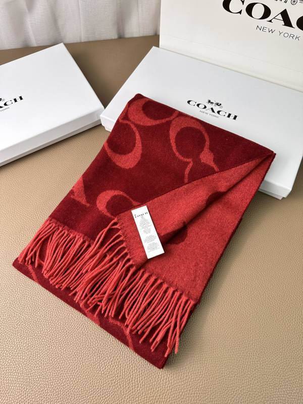 Coach scarf hm (6)