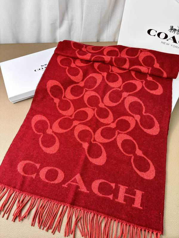 Coach scarf hm (7)
