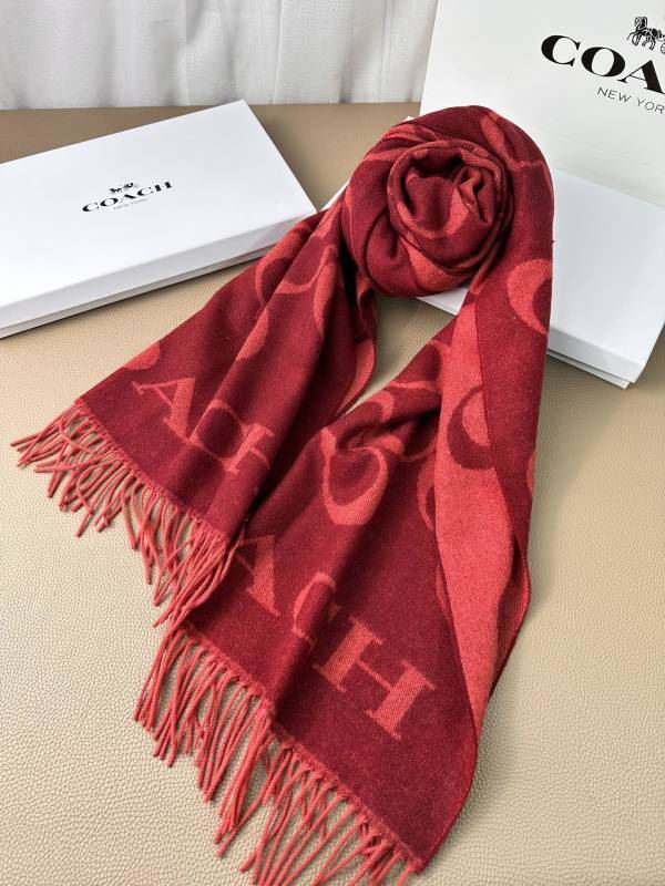 Coach scarf hm (8)