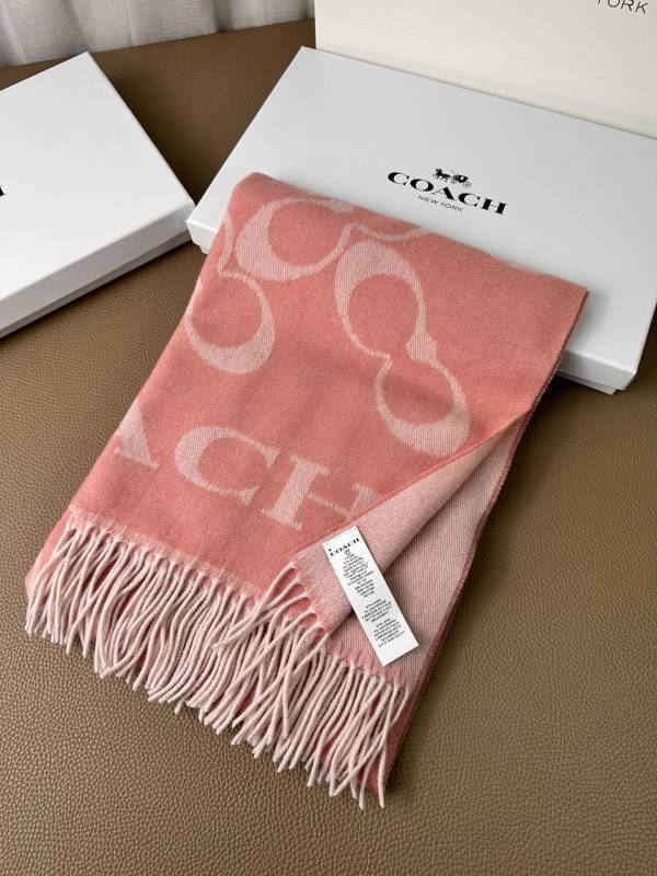 Coach scarf hm (9)