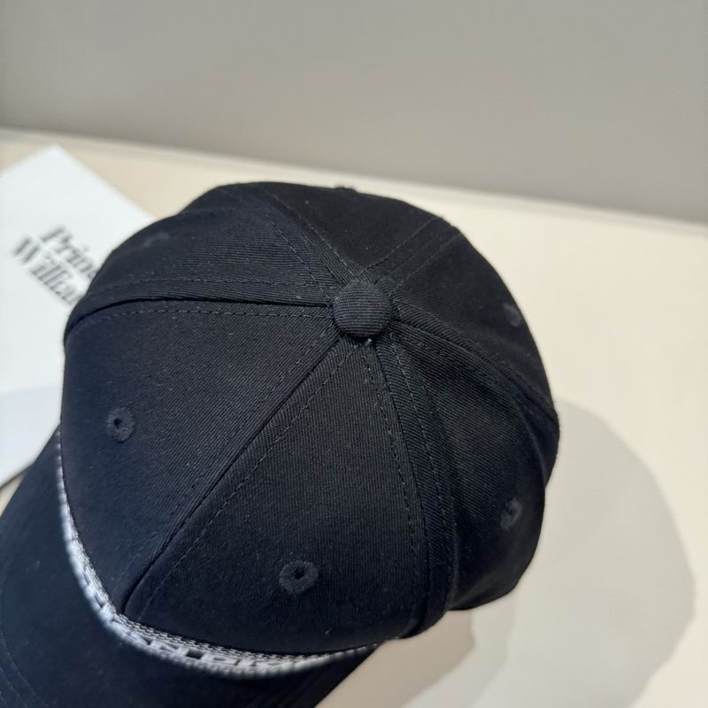 Dior Cap (401)