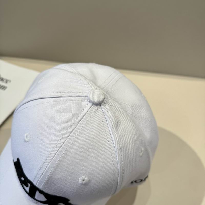 Dior Cap (428)