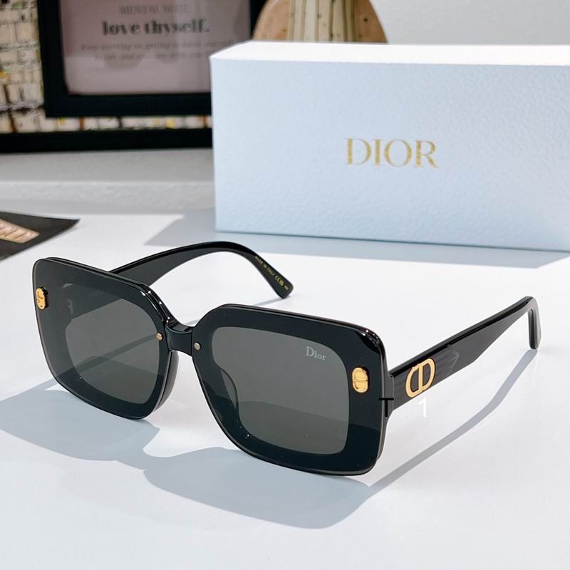 Dior DSGTA17 70 10-145 a4