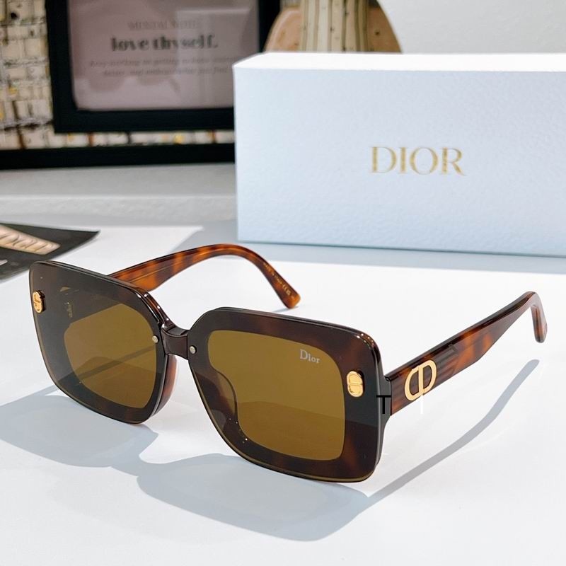 Dior DSGTA17UCR 70 10-145 a01