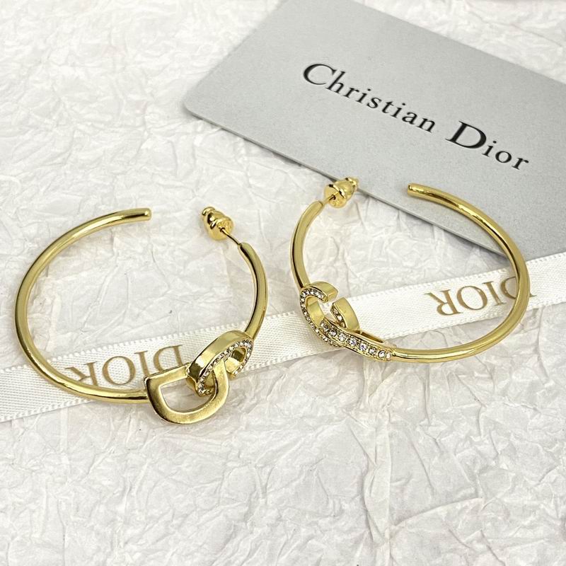 Dior Earring 08yxq13 (3)