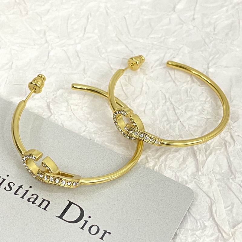 Dior Earring 08yxq13 (4)
