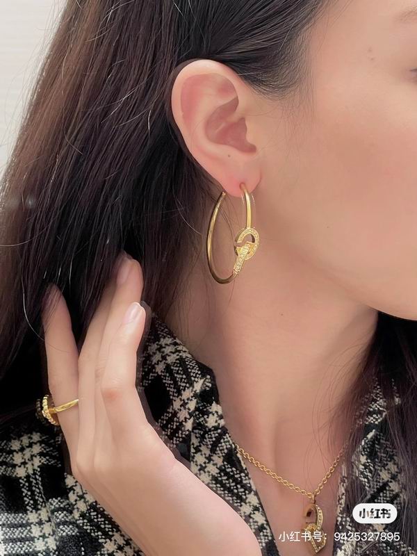 Dior Earring 08yxq13 (8)