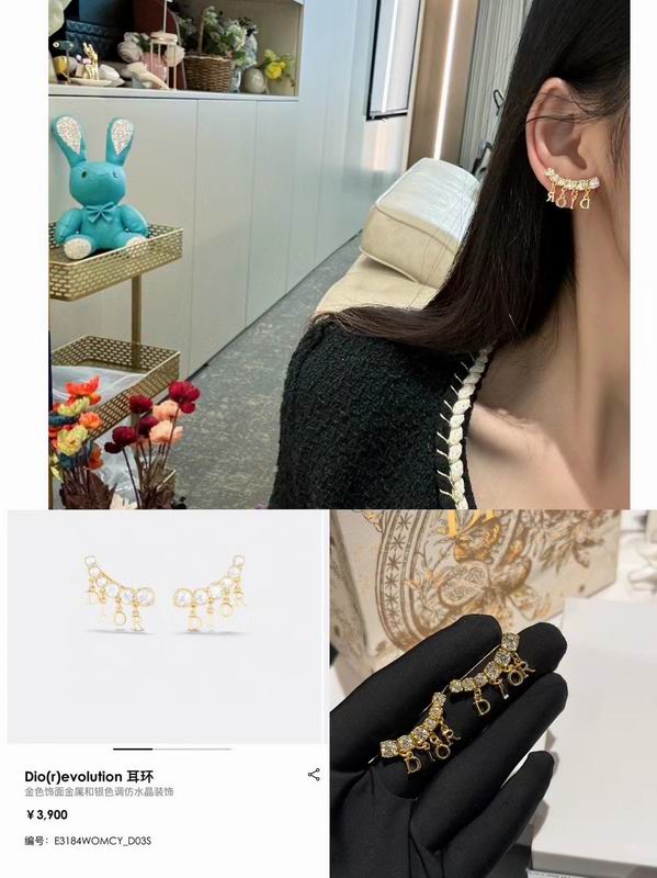 Dior Earring 09yxq03 (9)