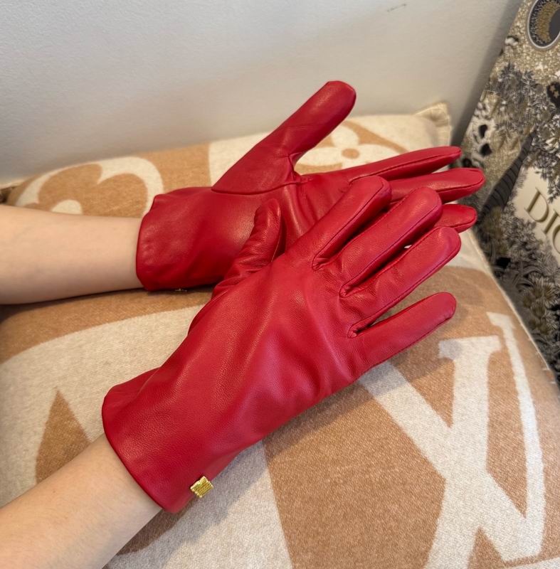 Dior Gloves M L 07 (10)
