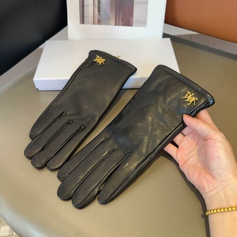 Dior Gloves hm (20)