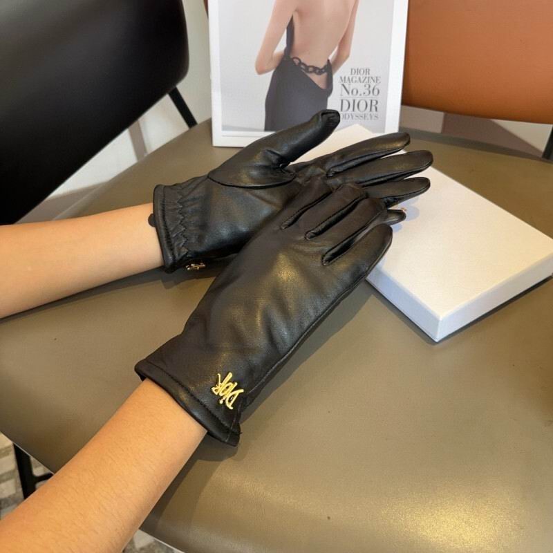 Dior Gloves hm (21)
