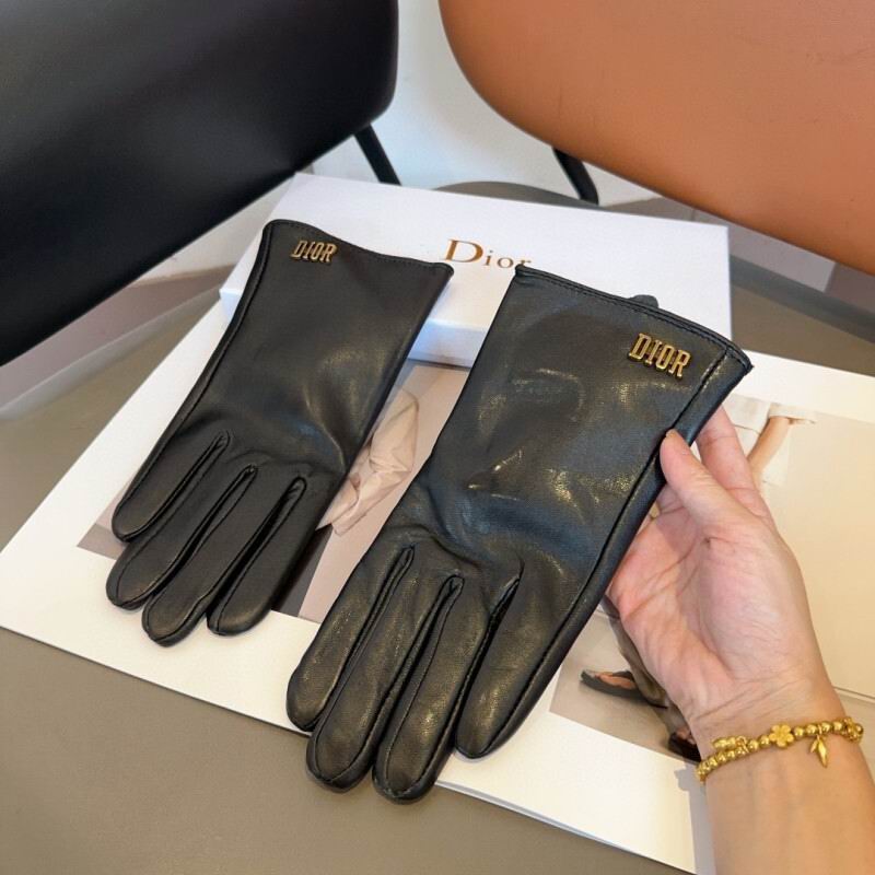 Dior Gloves hm (23)