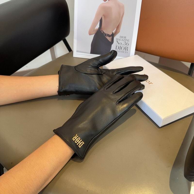 Dior Gloves hm (24)
