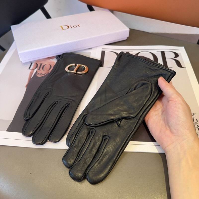 Dior Gloves hm (25)