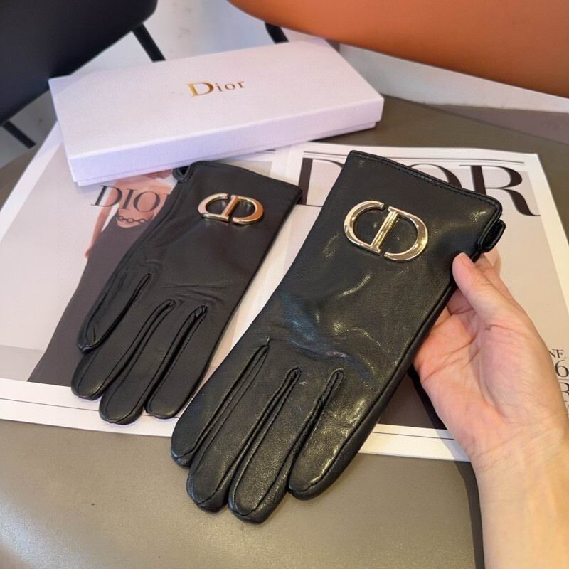 Dior Gloves hm (26)