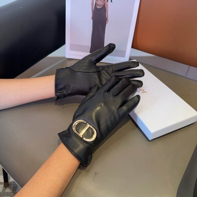 Dior Gloves hm (27)