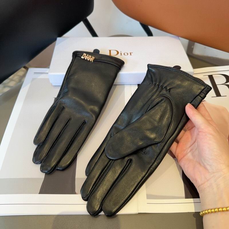 Dior Gloves hm (28)