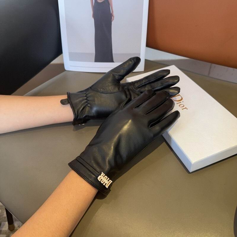Dior Gloves hm (30)