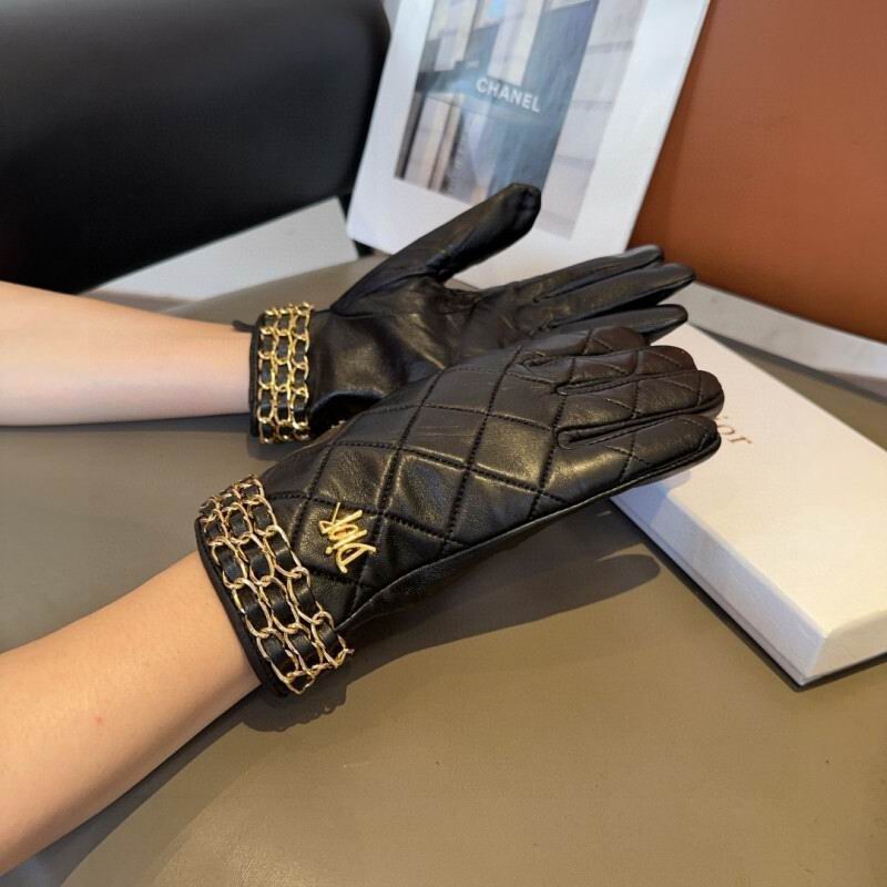 Dior Gloves hm (33)