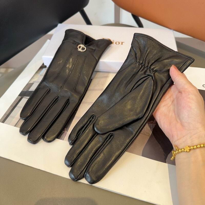 Dior Gloves hm (34)