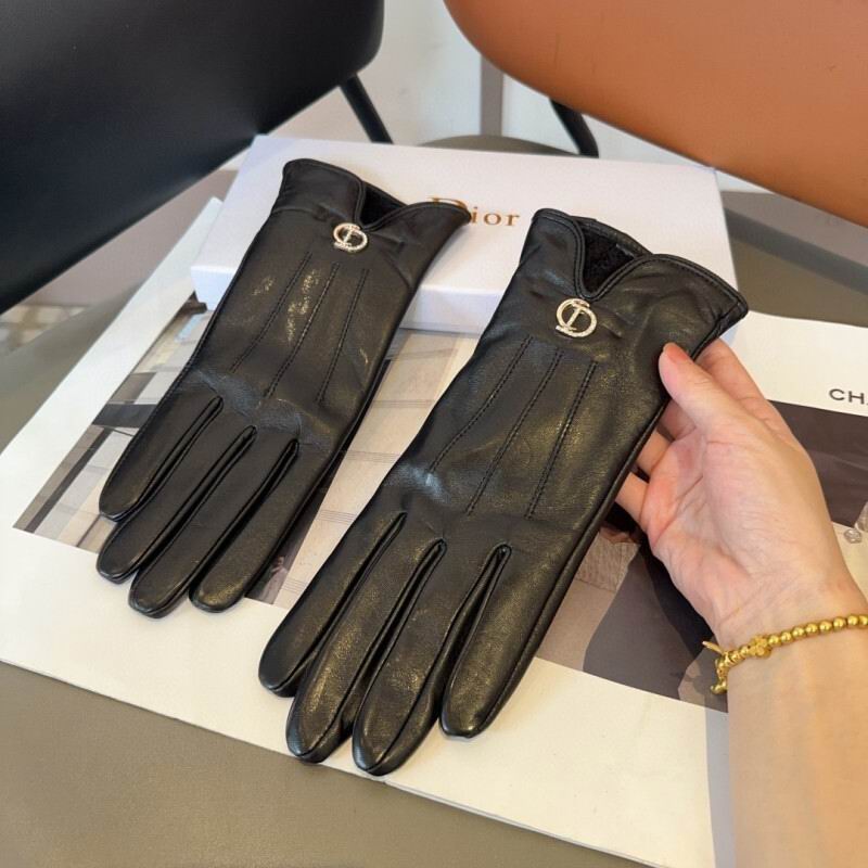 Dior Gloves hm (35)