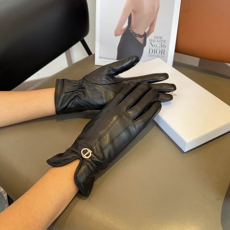 Dior Gloves hm (36)