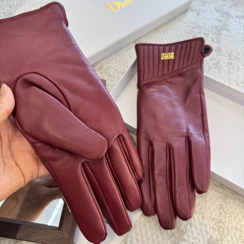 Dior Gloves hm (42)
