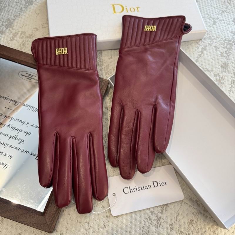 Dior Gloves hm (43)