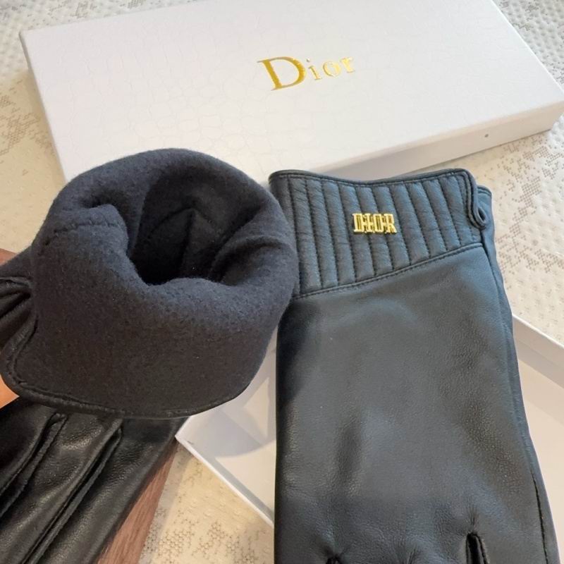 Dior Gloves hm (45)