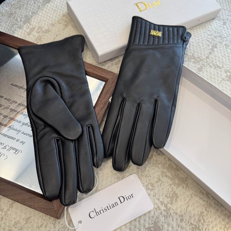 Dior Gloves hm (46)