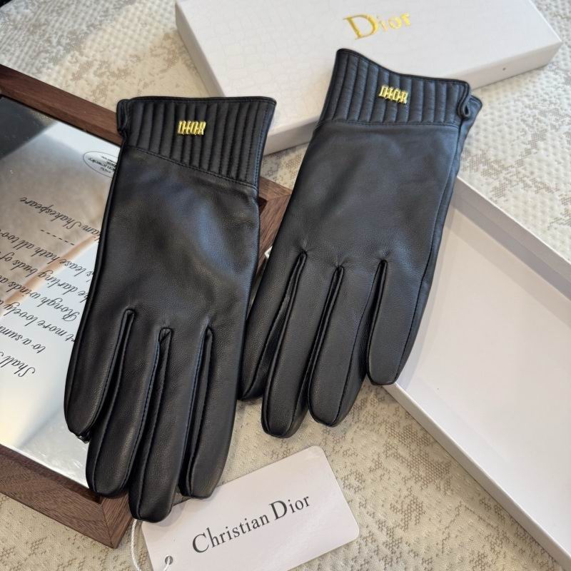 Dior Gloves hm (47)