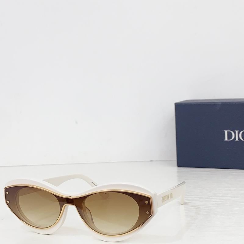 Dior MeteorB1I 51 21-145 b02
