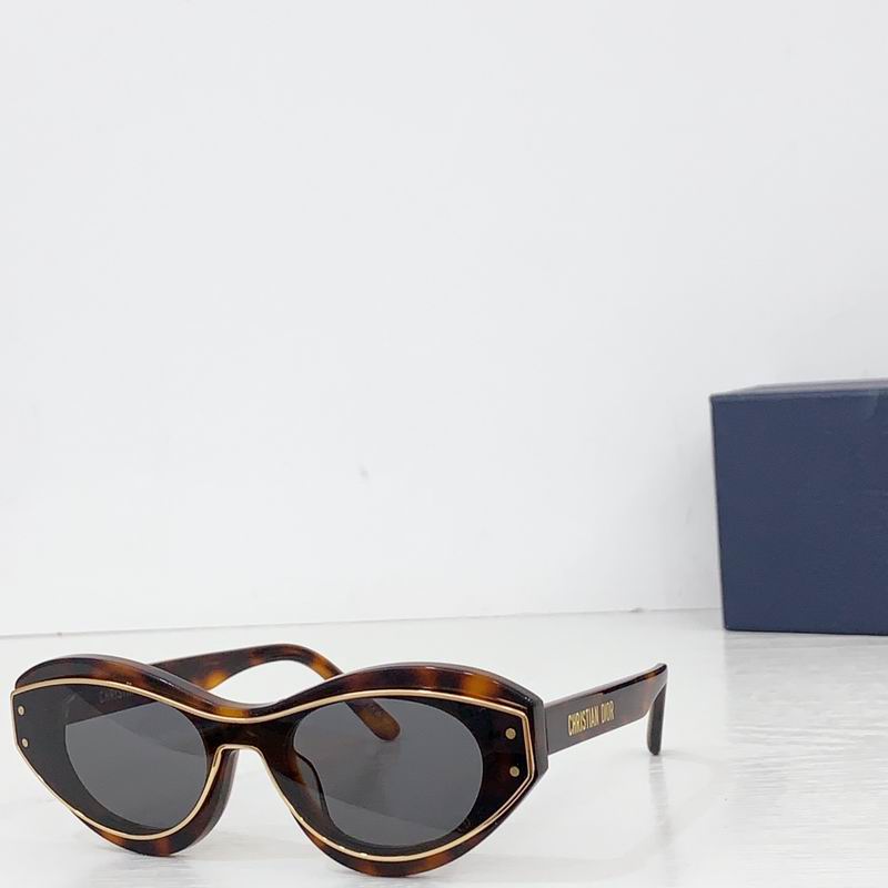 Dior MeteorB1I 51 21-145 b04