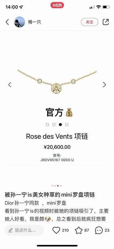 Dior Necklace 08yxq03 (1)