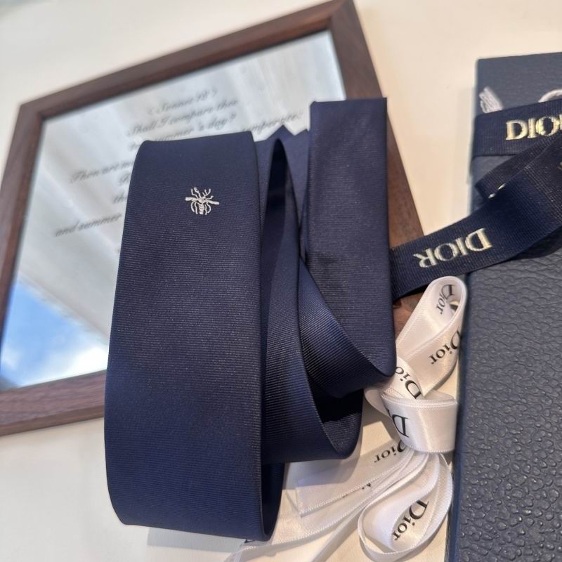 Dior Tie hm (10)