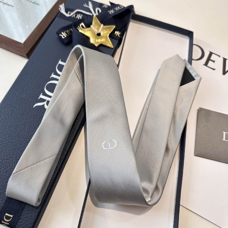 Dior Tie hm (103)