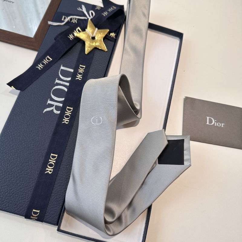 Dior Tie hm (107)