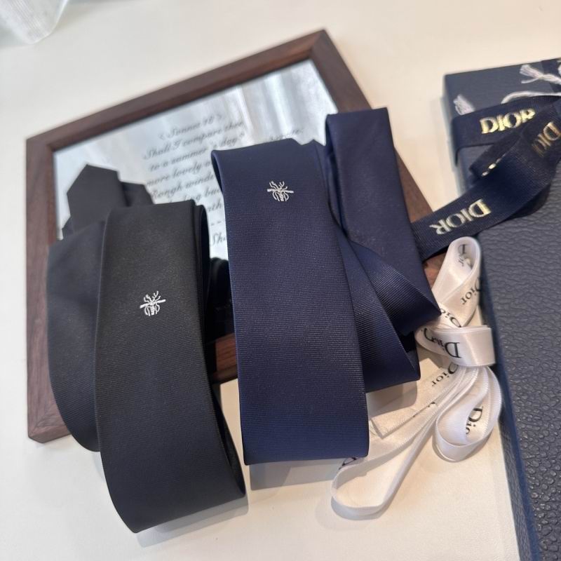 Dior Tie hm (13)