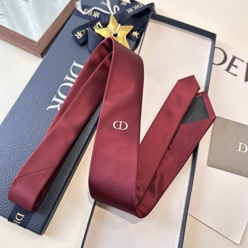 Dior Tie hm (95)