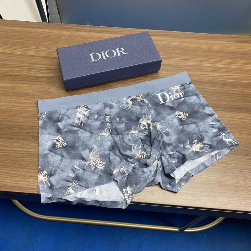 Dior boxer L-3XL 12 (4)