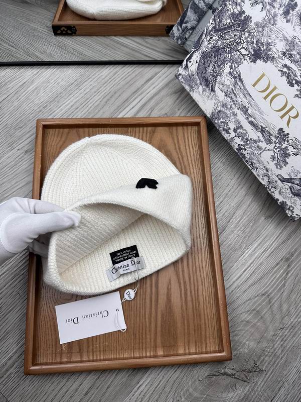 Dior hat dx (11)