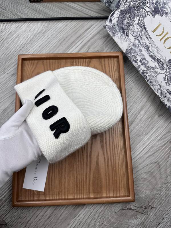 Dior hat dx (12)