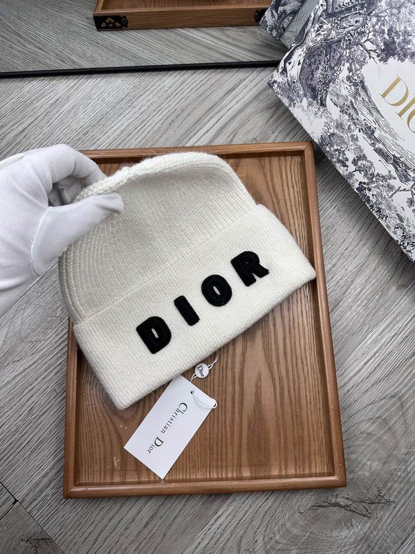 Dior hat dx (14)