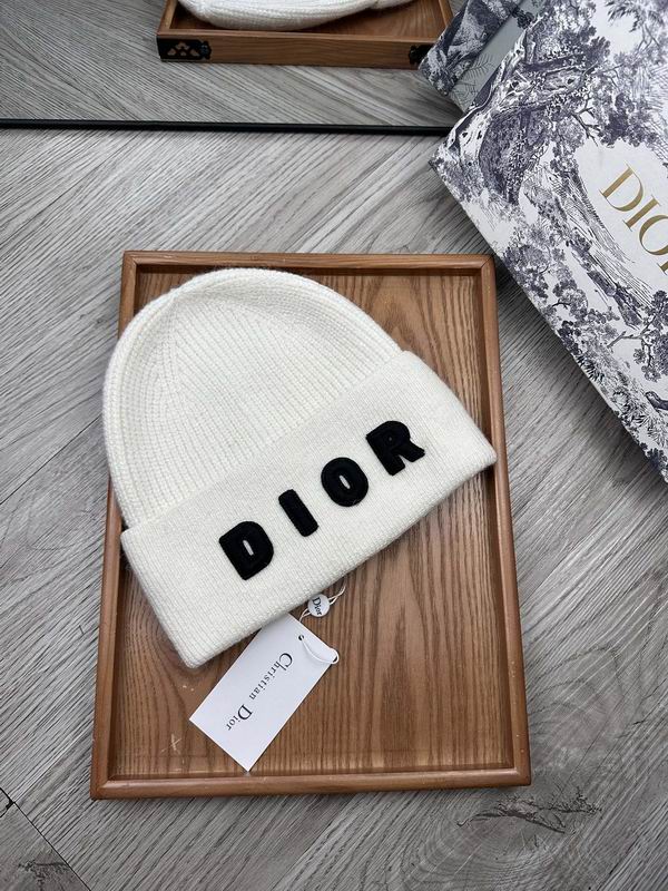Dior hat dx (15)