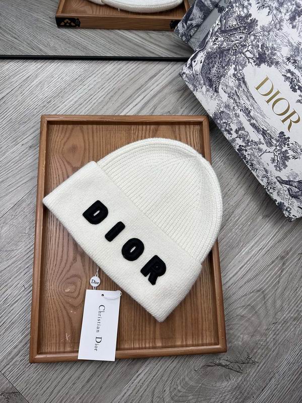 Dior hat dx (16)