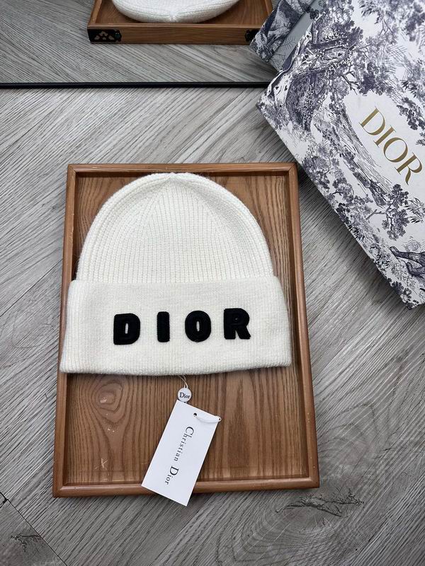 Dior hat dx (17)