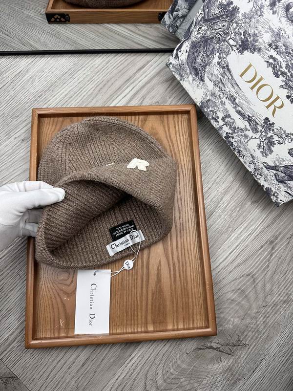 Dior hat dx (20)