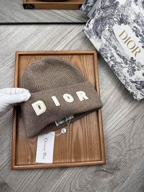 Dior hat dx (21)