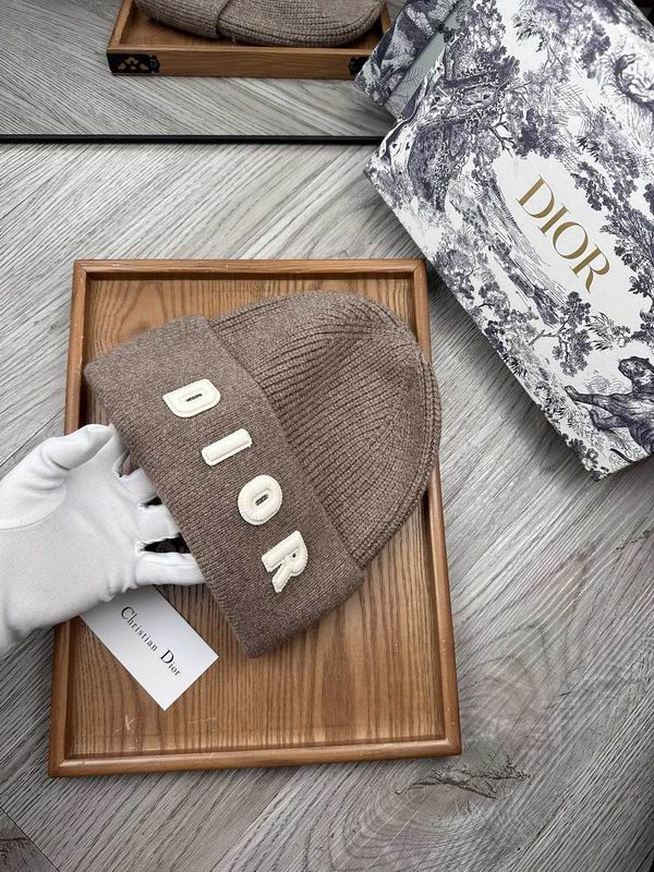 Dior hat dx (22)